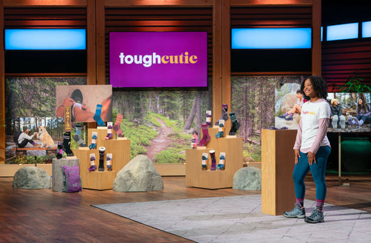 Part 1: Our Journey to the Shark Tank