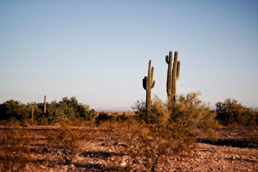 The Best Beginner Hikes in Texas